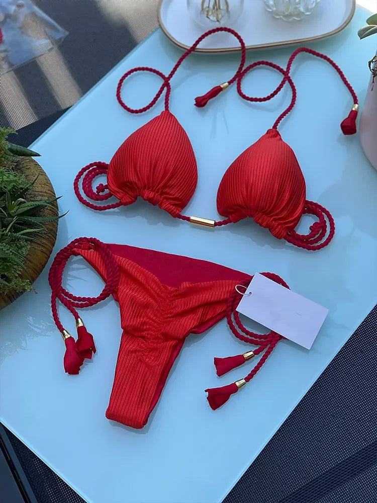 triangle bikini set with detailing