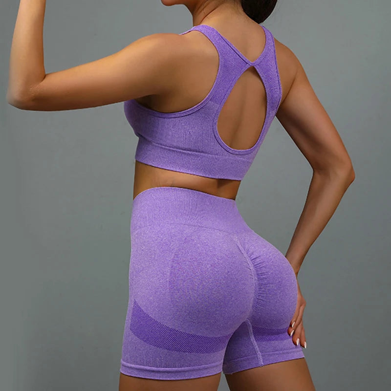 2 Pcs Yoga Set Shorts & Bra